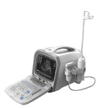 PT6601 Best Portable Digital Ultrasound Scanner Machine